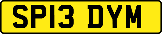 SP13DYM