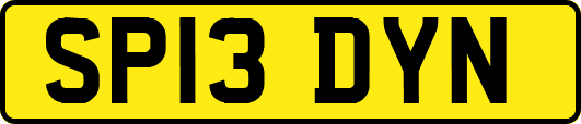 SP13DYN