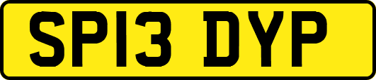 SP13DYP