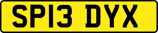 SP13DYX