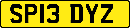 SP13DYZ