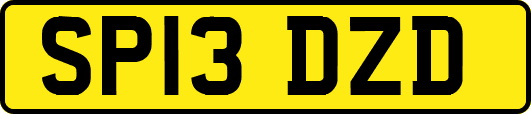 SP13DZD