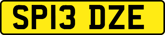 SP13DZE