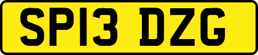 SP13DZG