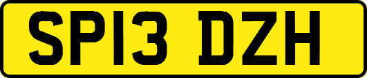 SP13DZH