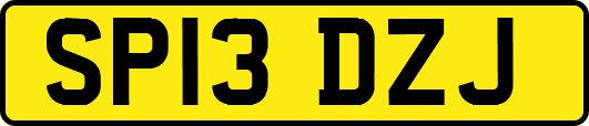 SP13DZJ