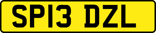 SP13DZL