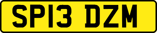 SP13DZM