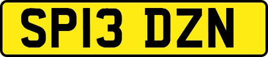 SP13DZN