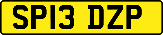 SP13DZP