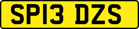 SP13DZS