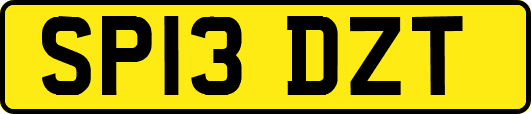 SP13DZT