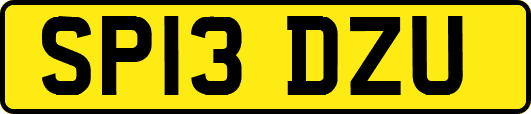 SP13DZU