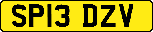 SP13DZV
