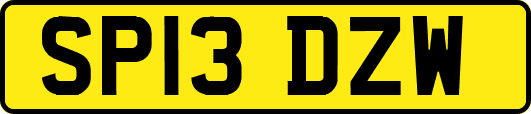 SP13DZW