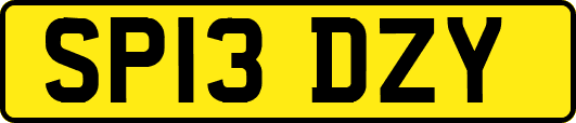 SP13DZY