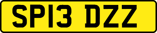 SP13DZZ