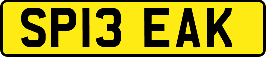 SP13EAK