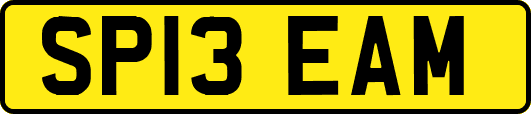 SP13EAM