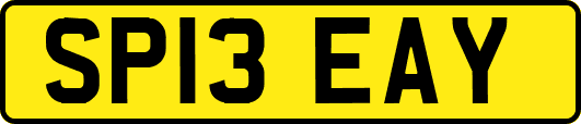 SP13EAY