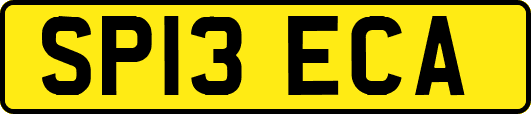 SP13ECA