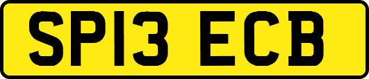 SP13ECB