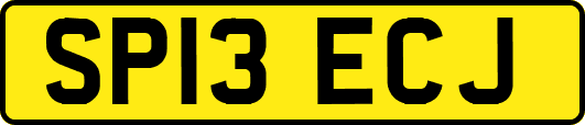 SP13ECJ