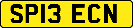 SP13ECN