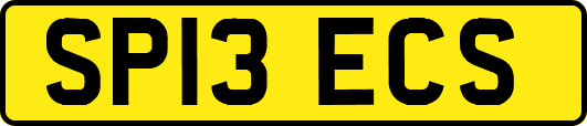 SP13ECS