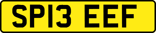 SP13EEF