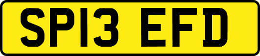 SP13EFD