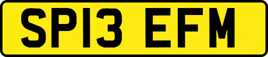 SP13EFM