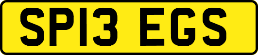 SP13EGS