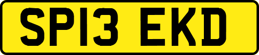 SP13EKD