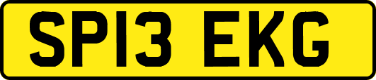 SP13EKG