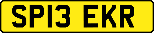 SP13EKR