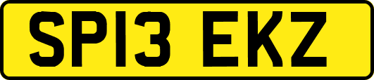 SP13EKZ
