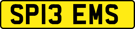 SP13EMS