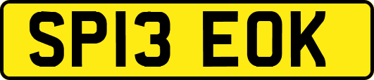 SP13EOK