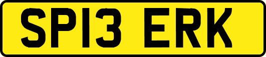 SP13ERK