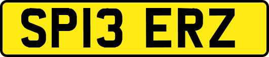 SP13ERZ