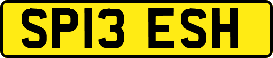 SP13ESH
