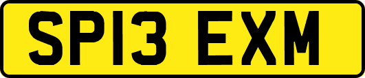 SP13EXM