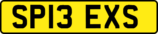 SP13EXS