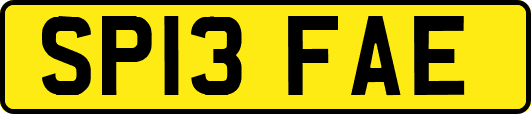 SP13FAE