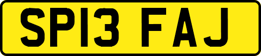 SP13FAJ