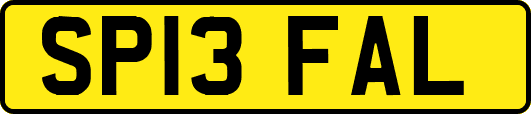 SP13FAL