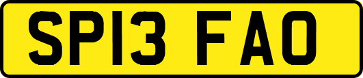 SP13FAO