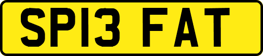 SP13FAT