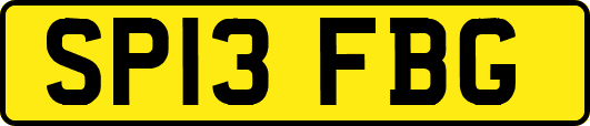 SP13FBG